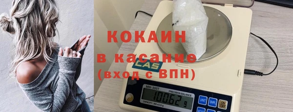 твердый Алексин