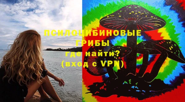 не бодяженный Алзамай
