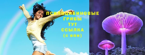 не бодяженный Алзамай