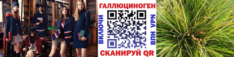 Псилоцибиновые грибы Magic Shrooms  Воткинск 